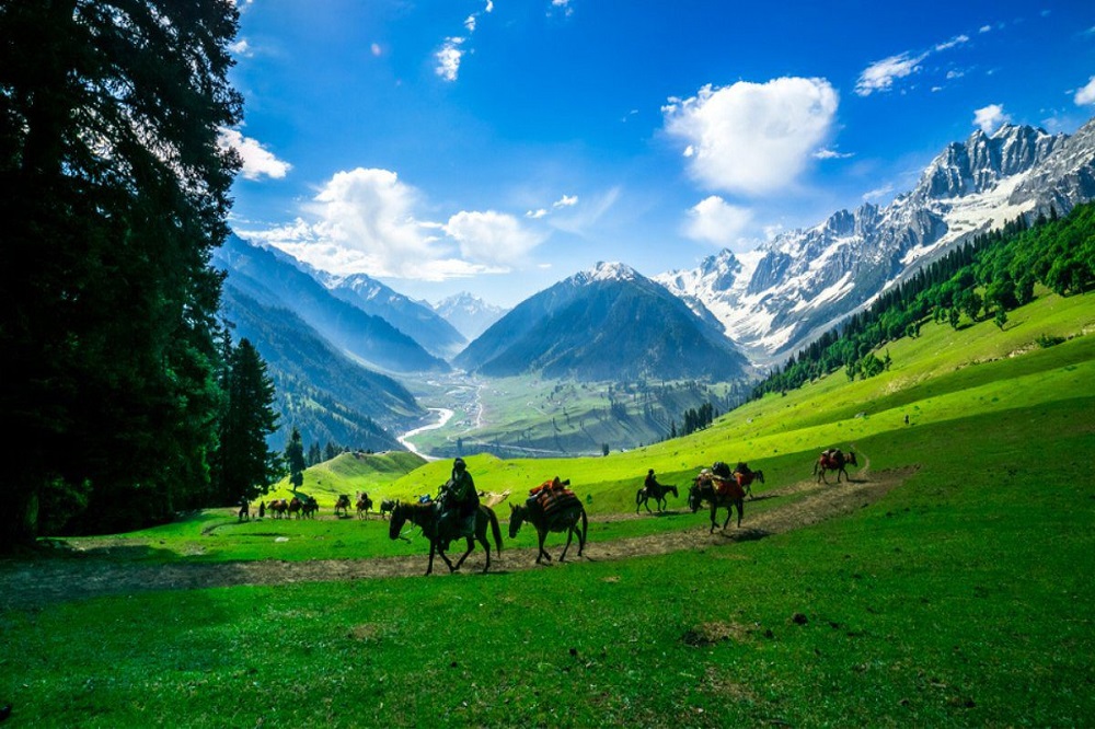 tours-img